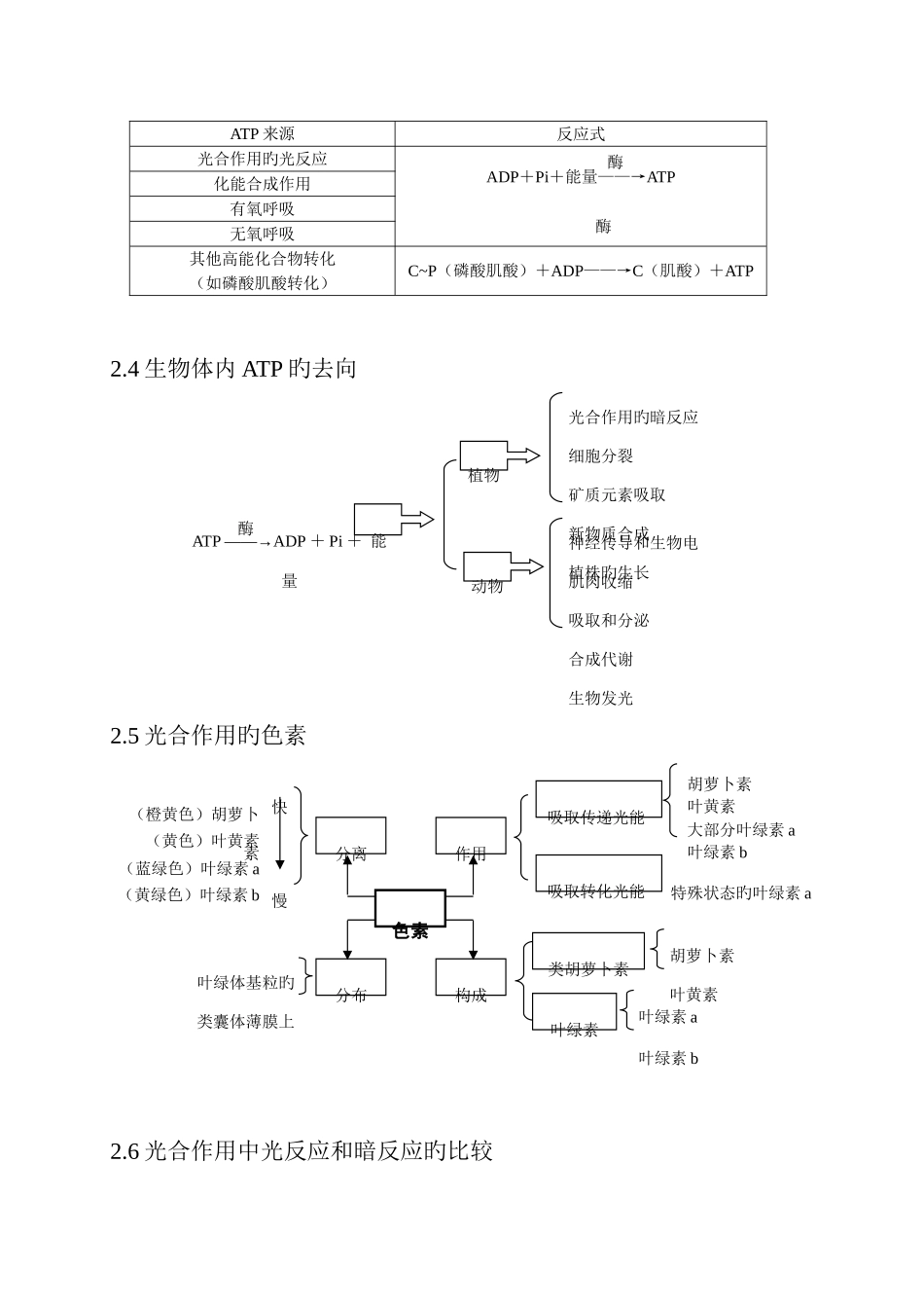 2025年高中生物知识点生物竞赛知识总结_第3页