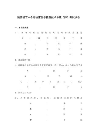 2025年陕西省下半年临床医学检验技术中级师考试试卷