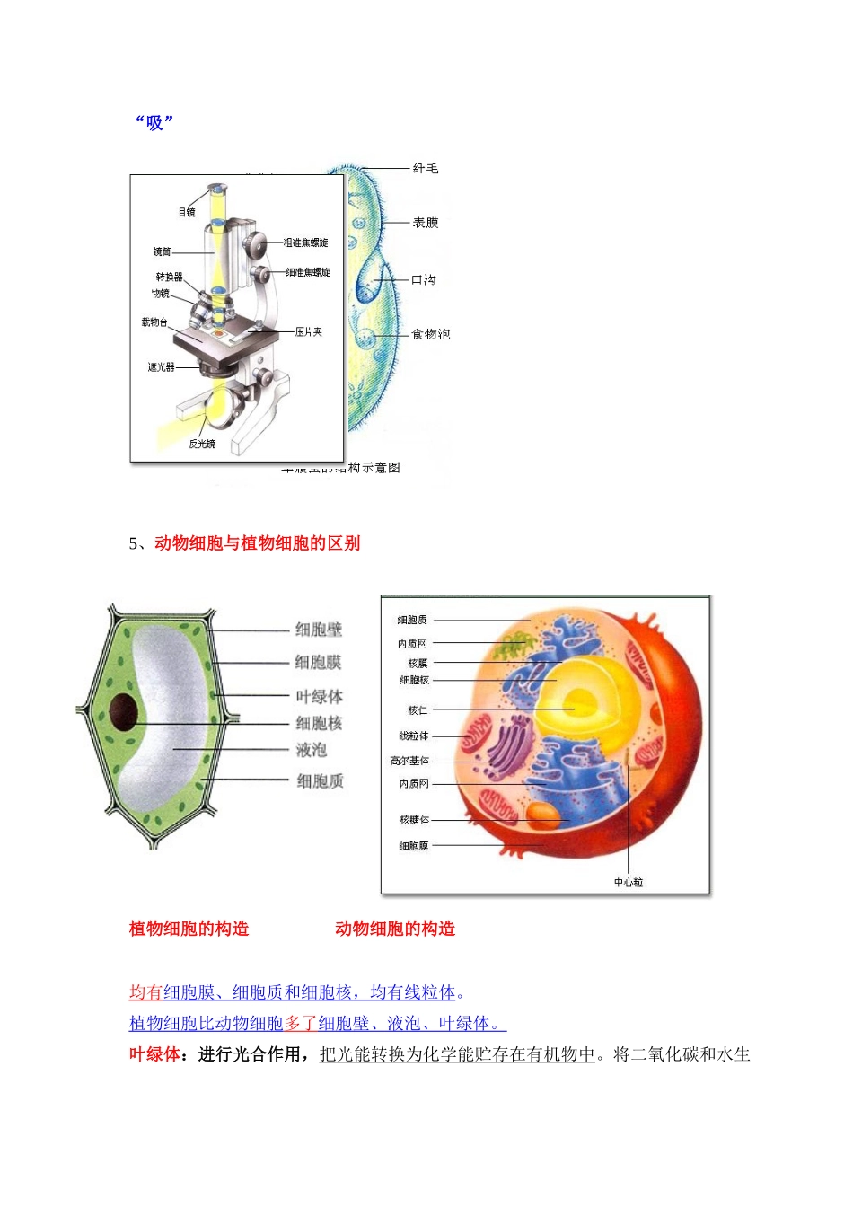 2025年七年级上册生物学知识点总结知识讲解_第2页