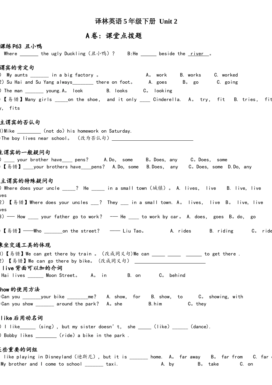 2025年译林英语5BU2考点精练_第1页