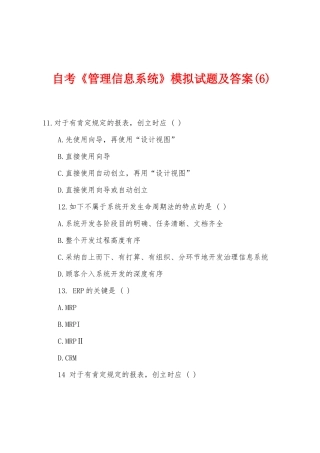 2025年自考管理信息系统模拟试题及答案