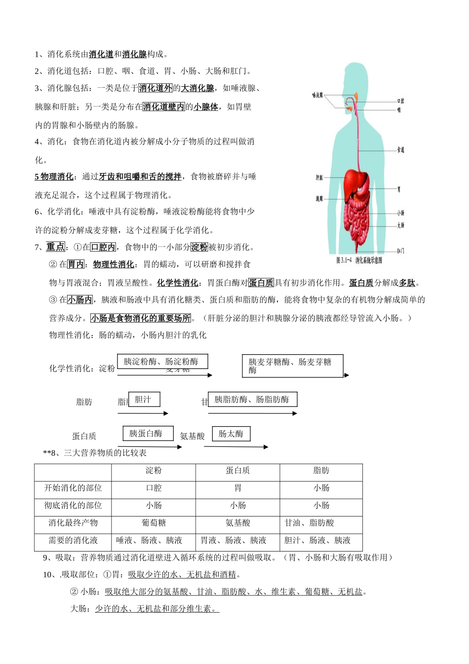 2025年七年级生物下册知识点济南版50739资料讲解_第2页