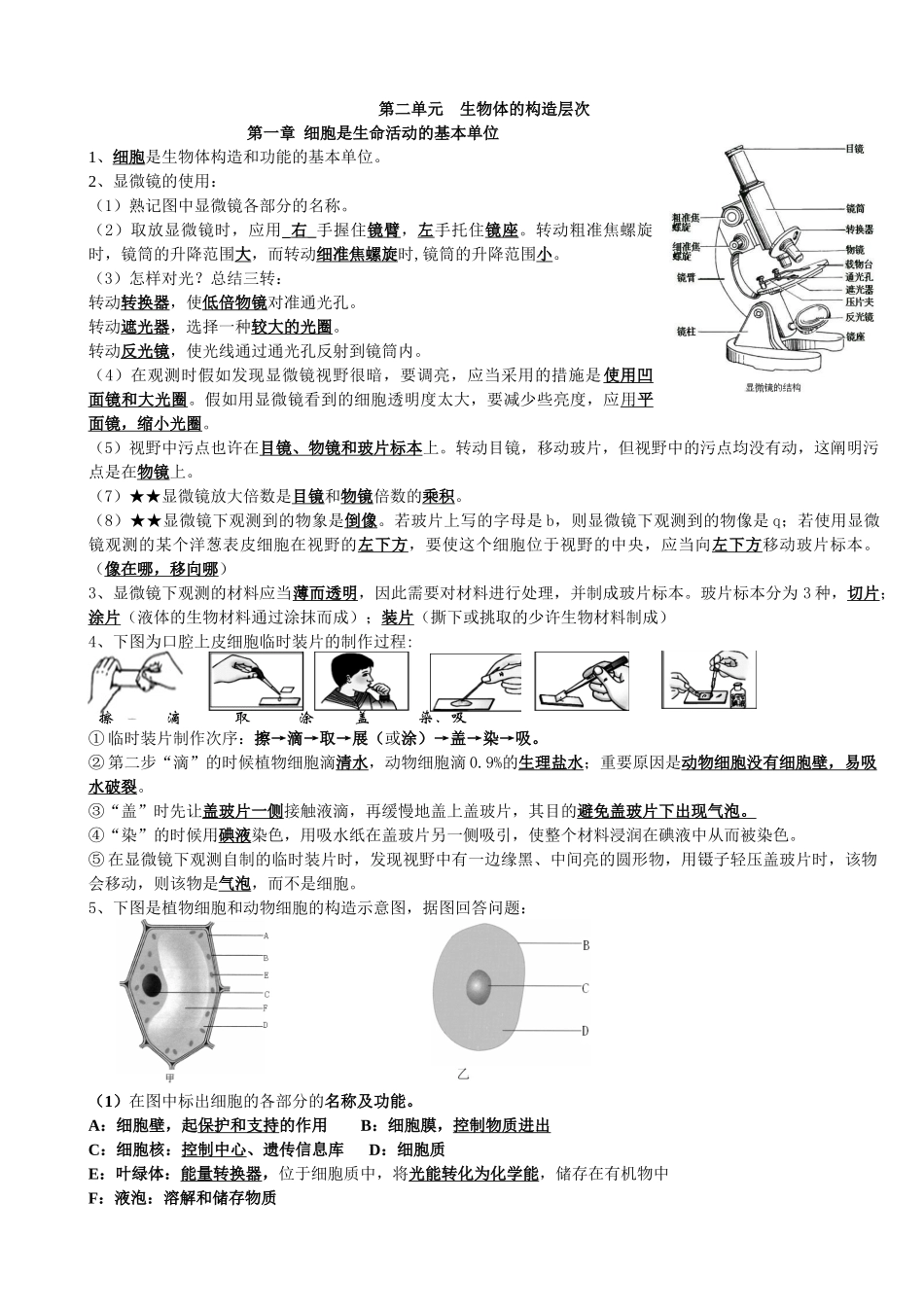 2025年七年级生物上册所有知识点资料讲解_第2页