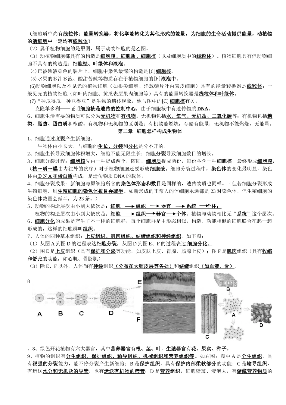 2025年七年级生物上册所有知识点资料讲解_第3页
