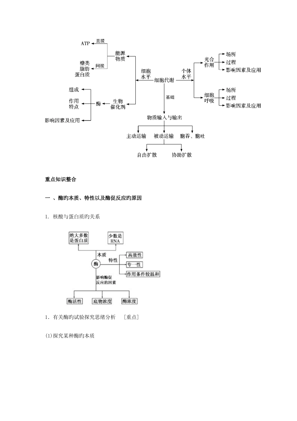 2025年高考生物知识点之细胞的代谢_第2页