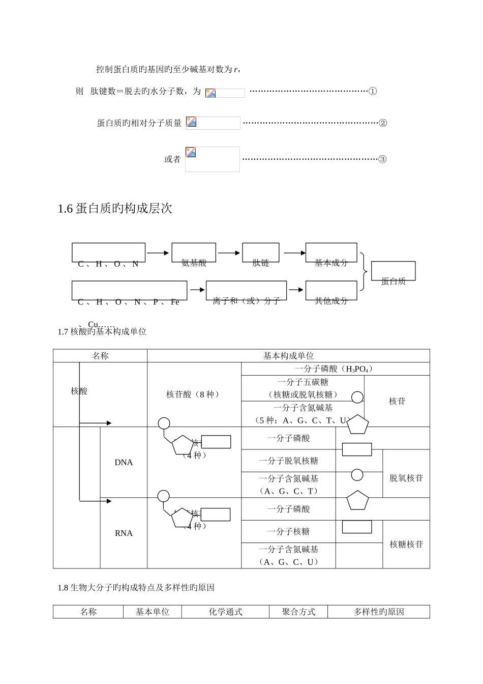 2025年高中生物知识点总结全附图已排版打印版_第3页