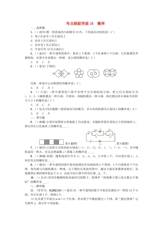 2025年中考数学考点聚焦统计与概率跟踪突破16概率试题