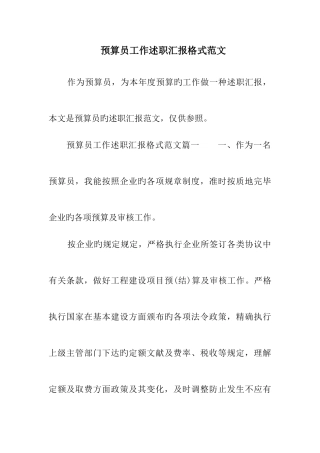 2025年预算员工作述职报告格式范文