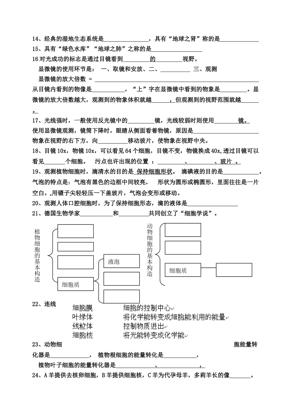 2025年七年级上册生物复习知识点填空学习资料_第2页