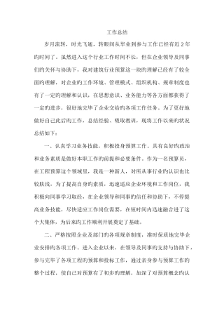 2025年预算员个人总结