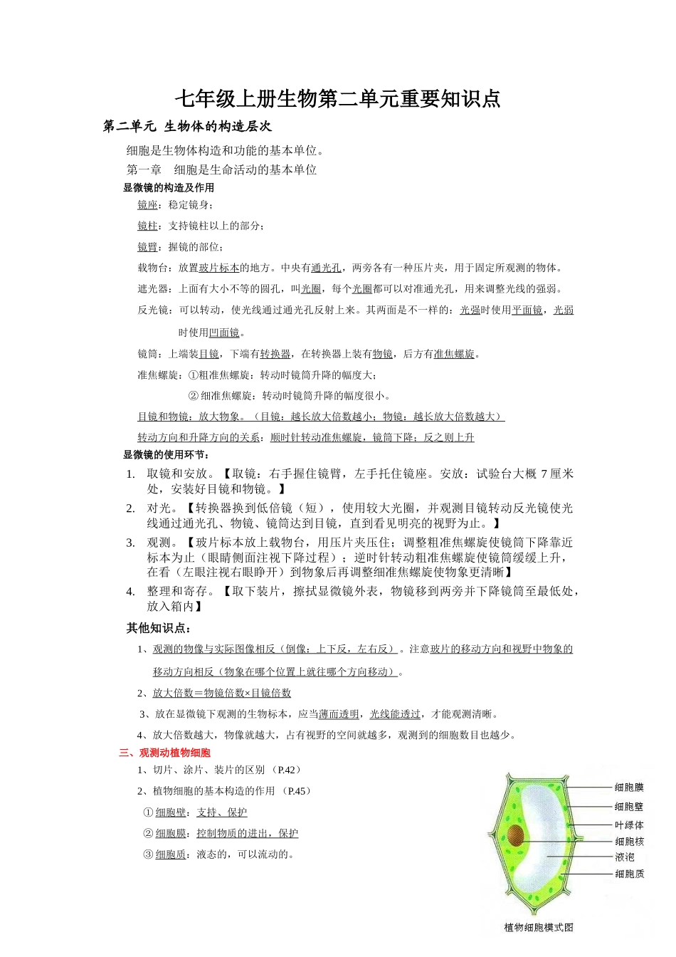 2025年七年级上册生物第二单元重要知识点资料_第1页