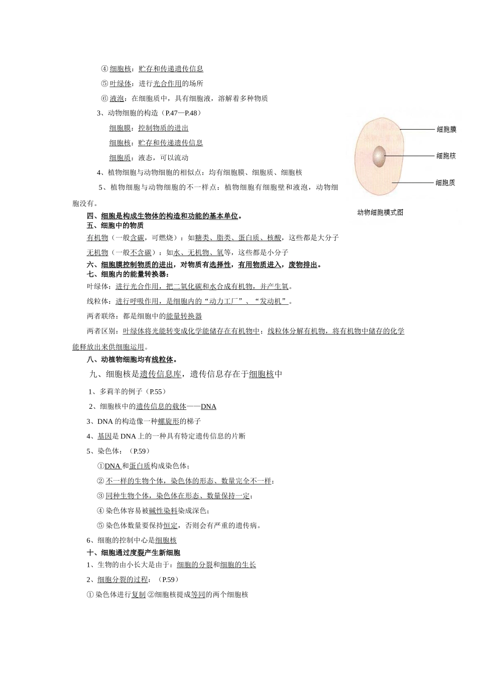 2025年七年级上册生物第二单元重要知识点资料_第2页