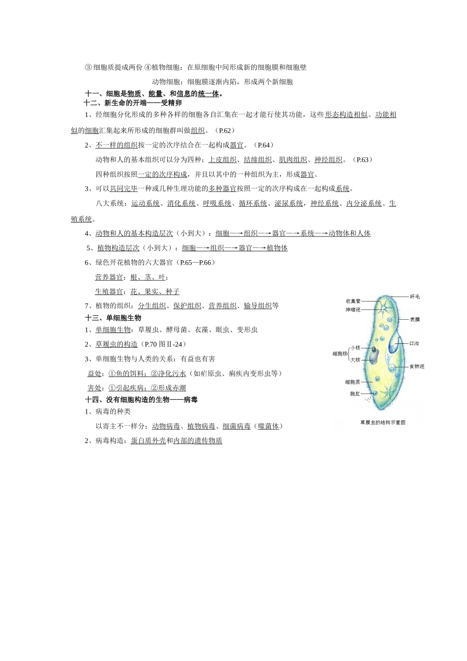 2025年七年级上册生物第二单元重要知识点资料_第3页