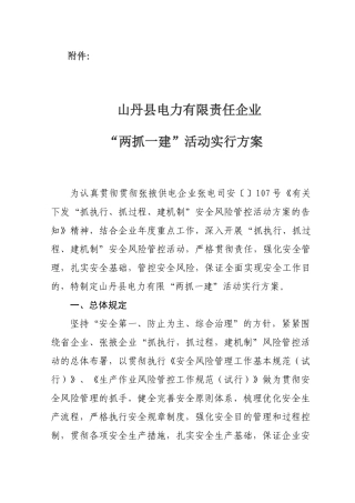 2025年两抓一建活动方案