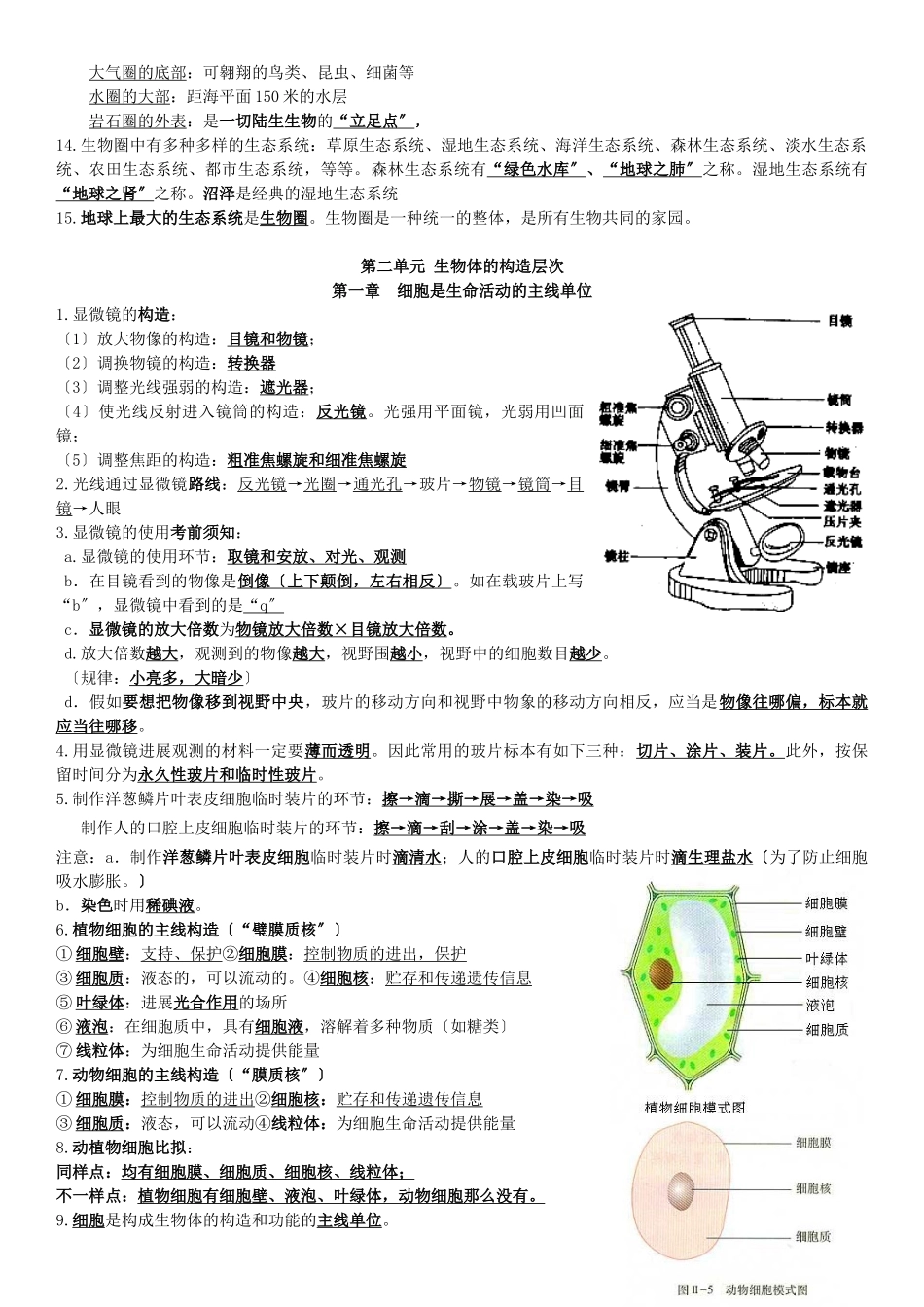 2025年七年级上册生物知识点归纳填空_第2页