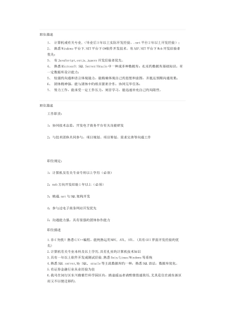 2025年高级程序员职位描述