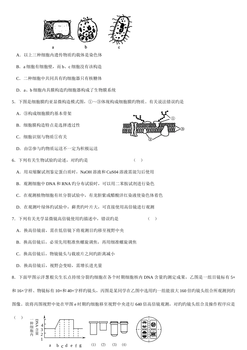 2025年高中生物实验新编用显微镜观察多种多样的细胞知识点总结_第3页