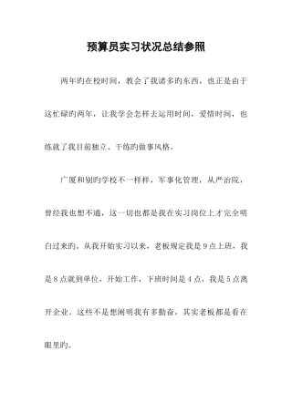 2025年预算员实习情况总结参考