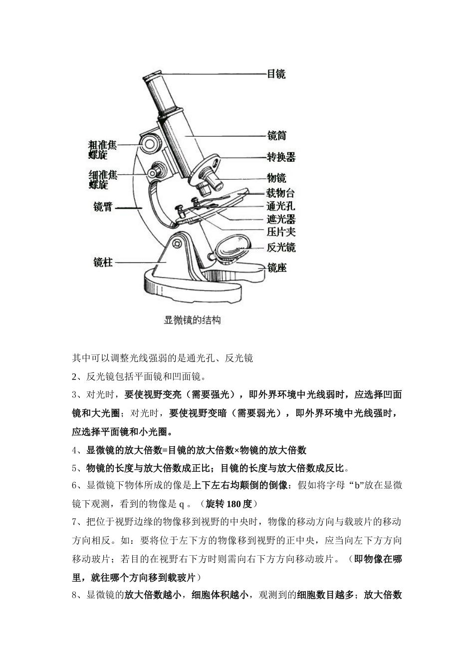 2025年七年级上册生物知识点资料_第3页