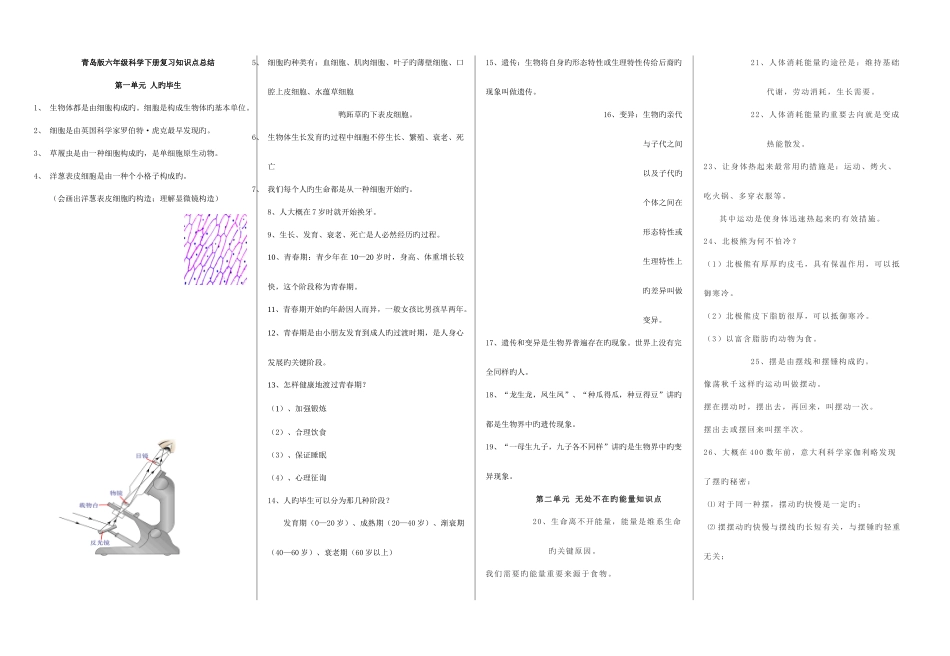 2025年青岛版六年级下册科学全册知识点总结已排版_第1页