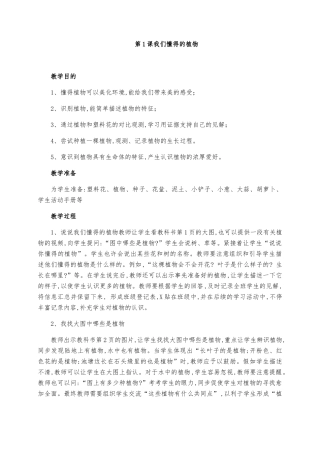 2025年一年级科学上册全册教案