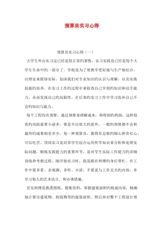 2025年预算员实习心得