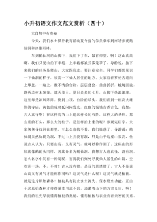 2025年小升初语文作文范文赏析四十