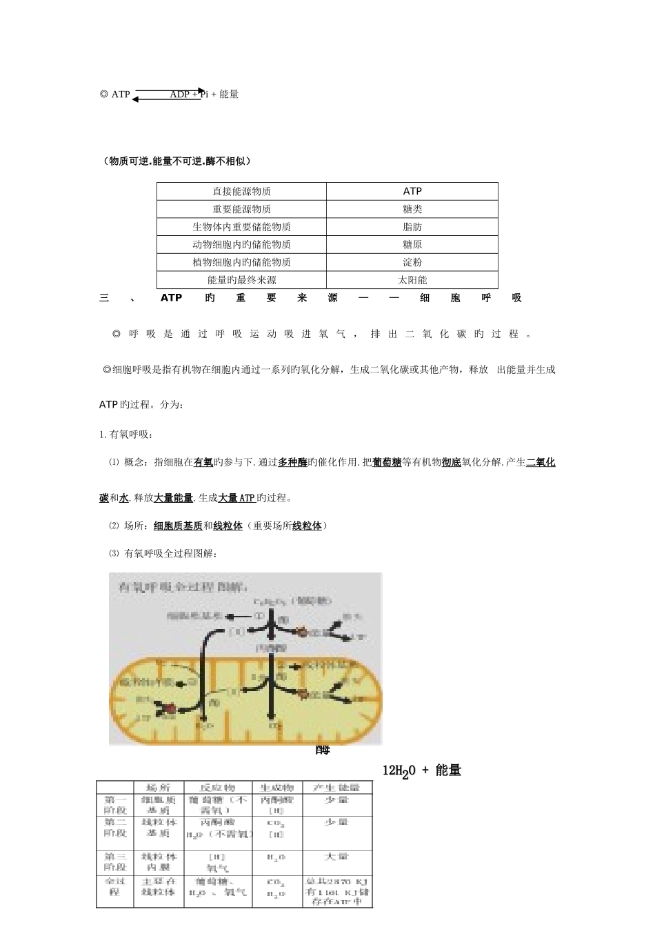 2025年高中生物必修一细胞的能量供应和利用知识点_第2页