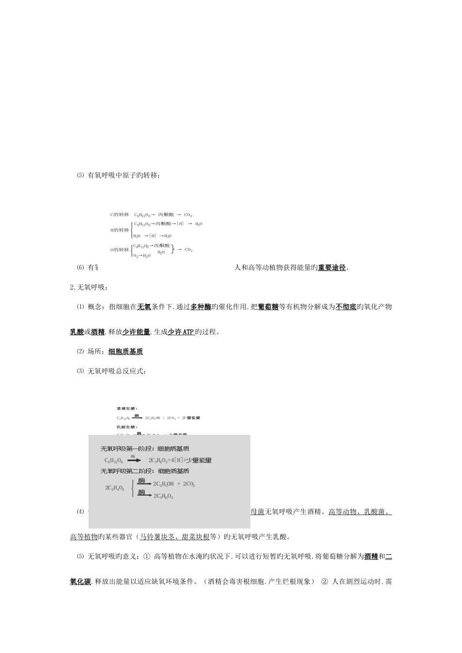 2025年高中生物必修一细胞的能量供应和利用知识点_第3页