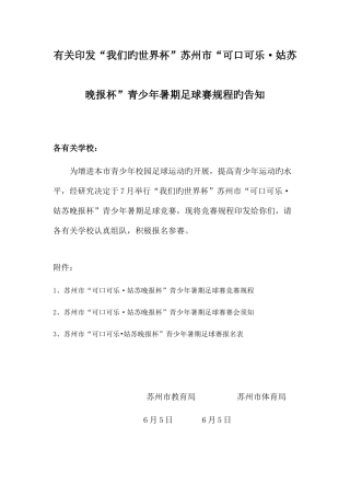 2025年青少年暑期足球赛竞赛规程