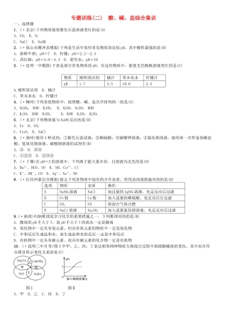 2025年云南专版中考化学总复习教材考点梳理专项训练二酸碱盐综合集训习题