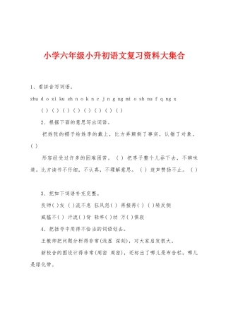 2025年小学六年级小升初语文复习资料大集合