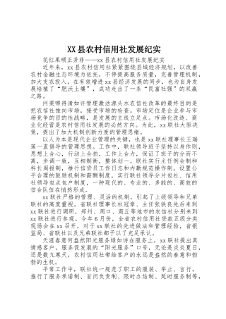 2025年县农村信用社发展纪实