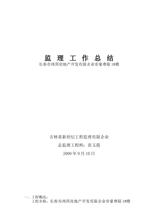 2025年总监理工程师总结