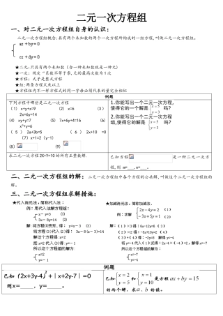 2025年二元一次方程组复习总结知识点汇总
