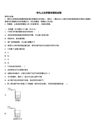 2025年上海市虹口区化学九年级第一学期期末学业水平测试模拟试题含解析