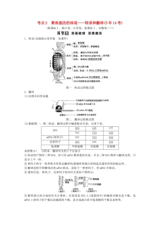 2025年高考生物总复习考点2聚焦基因的表达转录和翻译5年14考新人教版