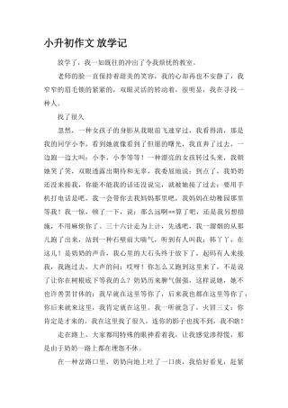 2025年小升初作文放学记