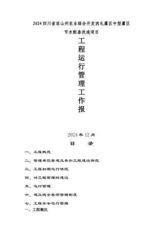 工程运行管理报告