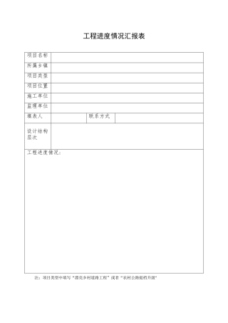 工程进度情况汇报表