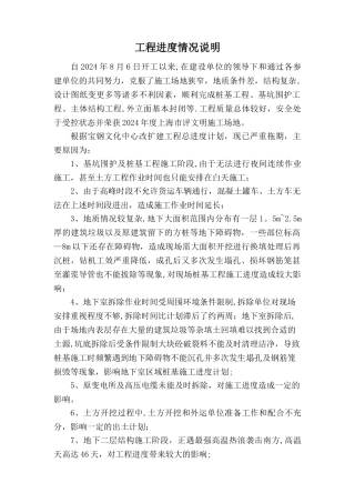 工程进度情况说明