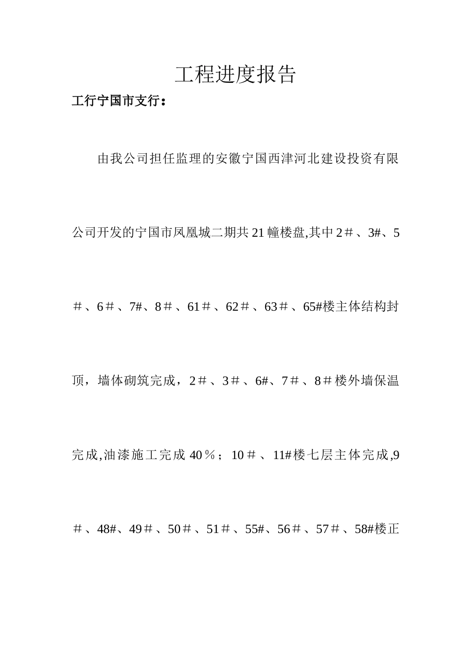 工程进度报告及监理月报_第1页