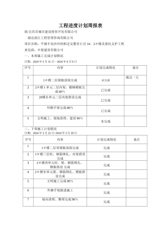 工程进度计划周报表