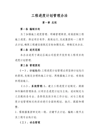 工程进度计划管理办法