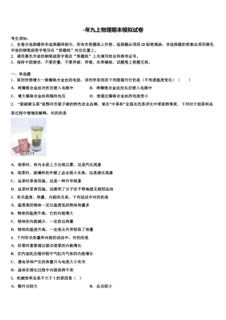2025年北京人大附中物理九年级第一学期期末学业水平测试模拟试题含解析
