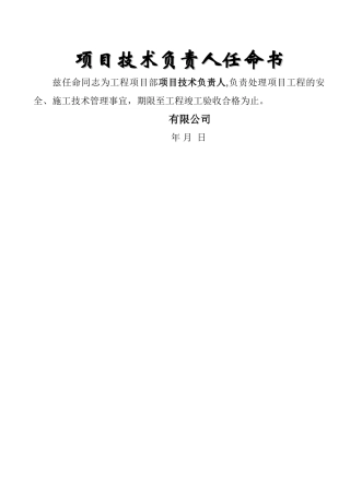 工程项目技术负责人任命书