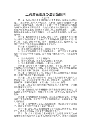 工资总额管理细则