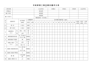 市-政-桥-梁-工-程-实-测-实-量-评-分-表