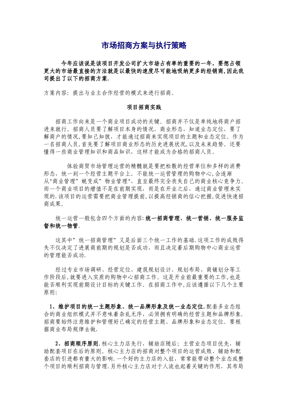市场招商方案与执行策略_第1页