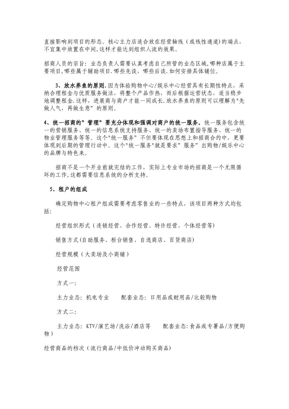 市场招商方案与执行策略_第2页